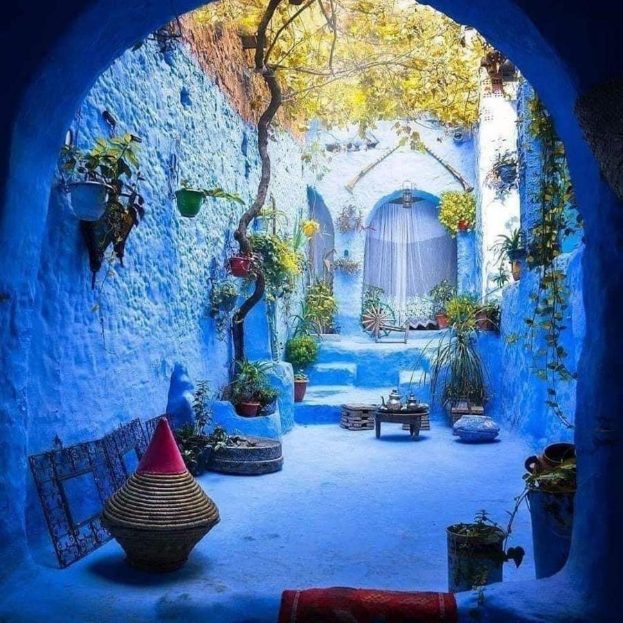 Joli Studio De Charme A Chaouen Chefchaouen Eksteriør bilde