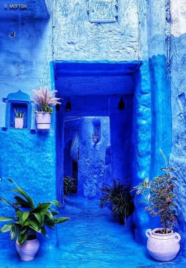 Joli Studio De Charme A Chaouen Chefchaouen Eksteriør bilde